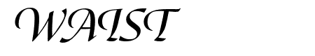 Canto Brush Open Bold Italic