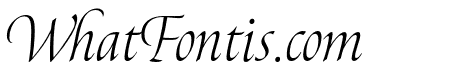 Canto Brush Open Light Italic