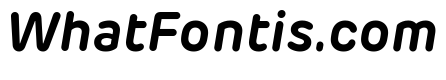 Rubrik New Bold Italic