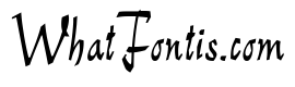 ReinerScript Regular