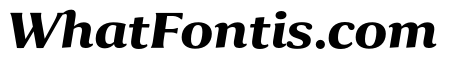 Collier Extended Black Italic
