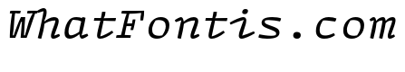 Array Mono Regular Italic