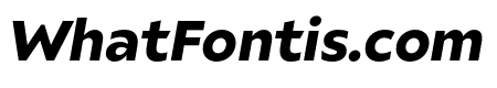 Ariana Pro Black italic