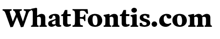 Poynter Oldstyle Text Bold