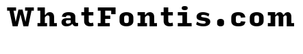 Input Serif Black