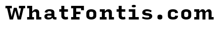 Input Serif Bold