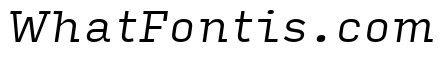 Input Serif Compressed Light Italic