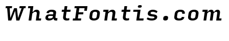 Input Serif Compressed Medium Italic