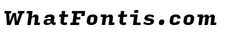 Input Serif Condensed Black Italic