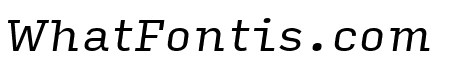 Input Serif Italic