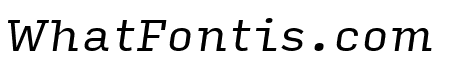 Input Serif Narrow Italic