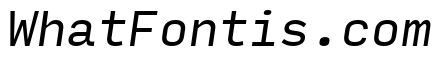 Input Mono Compressed Italic