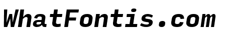 Input Mono Narrow Bold Italic