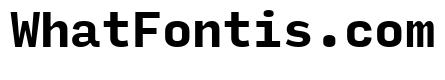 Input Mono Narrow Bold