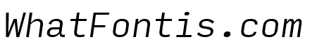 Input Mono Narrow Light Italic