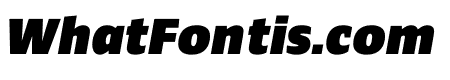 Ardoise Std Black Italic