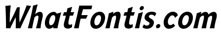 Mingler Medium Italic