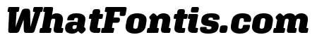Aglet Slab Black Italic