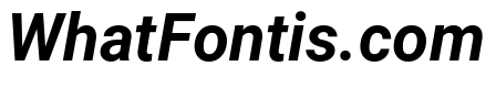 Roboto Bold Italic