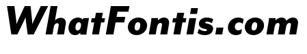 Mr Eaves San OT Heavy Italic