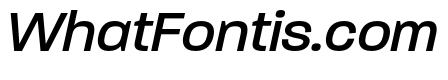 Paralucent Text Book Italic