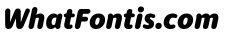 Dita Wd Extrabold Italic