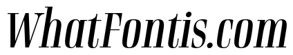 Rigatoni Regular Italic