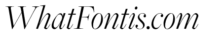 FreightMacro Pro Light Italic