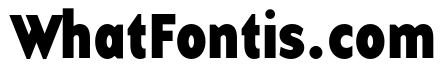 Base 12 Serif OT Bold