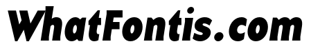 Base 9 Sans OT Bold Italic