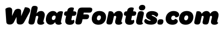 Omnes SemiCond Black Italic