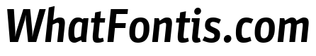 Parka Bold Italic