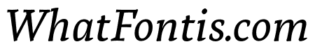Tzimmes Medium Italic