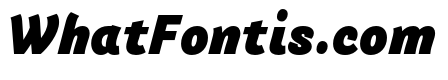 Arlette Black Italic