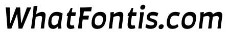 Auster Medium Italic