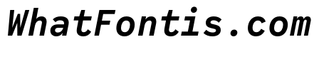 Code Saver Bold Italic