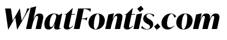 IvyMode Bold Italic