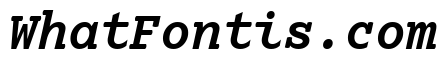 Lexia Mono Bold Italic