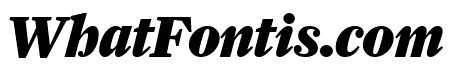 Farnham Headline Black Italic