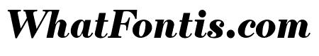 Escrow Condensed Black Italic
