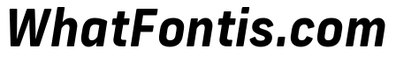 Frank New Bold Italic