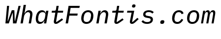 IBM Plex Mono Text Italic