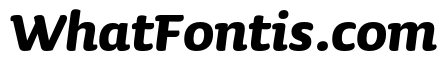 Sauna Mono Pro Bold Italic