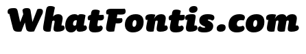 Sauna Pro Black Italic Swash