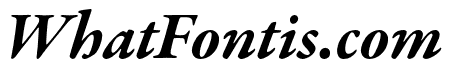 Garamond Premier Pro Bold Italic Caption