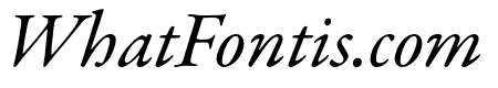 Garamond Premier Pro Italic Subhead