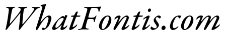 Garamond Premier Pro Medium Italic Subhead