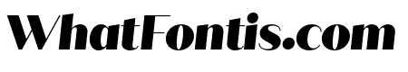 Quiche Sans Black Italic