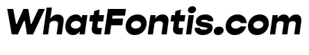 Gopher Black Italic
