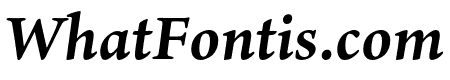 Ten Oldstyle Bold Italic